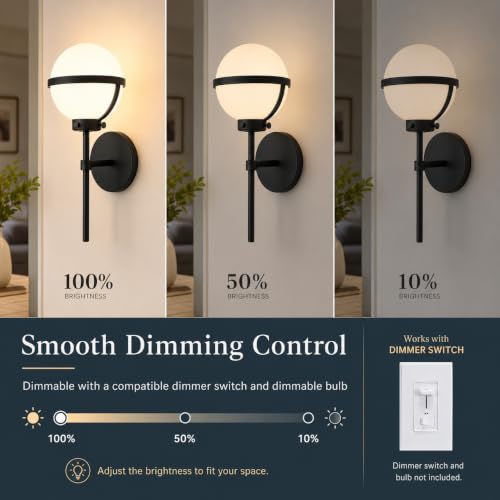 Globe Wall Sconce Indoor