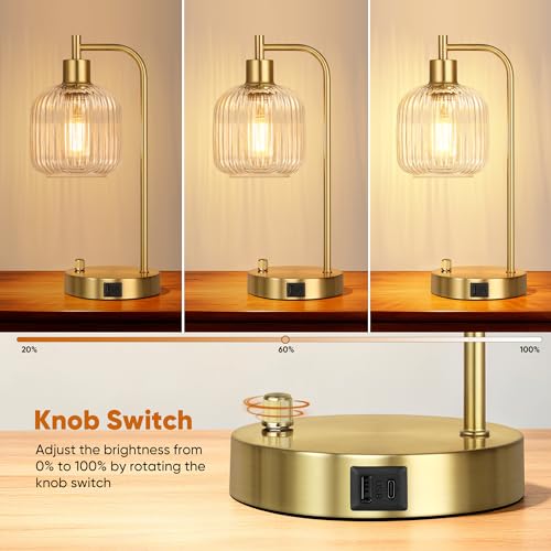 Clear Glass Table Lamps Set of 2