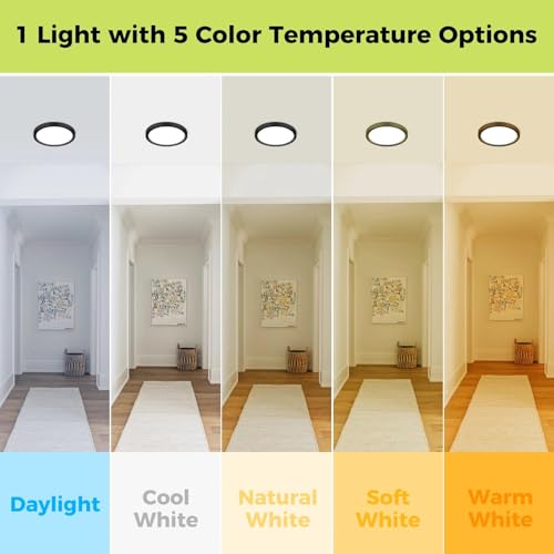 6Pack 7Inch LED Flush Mount Ceiling Light (6 Count)