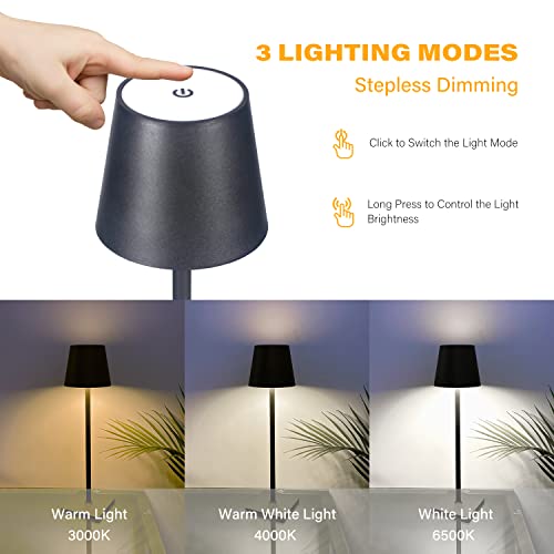 2 Pack Cordless Table Lamps (2 Count)