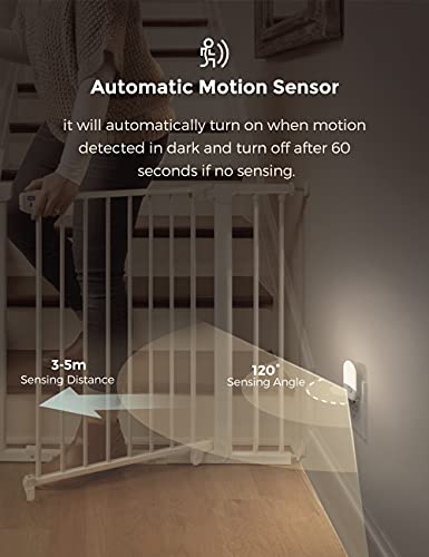 Motion Sensor Night Light (2 Count)