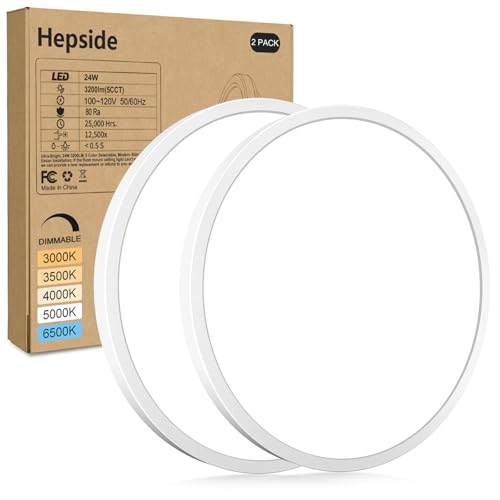 2Pack LED Flush Mount Ceiling Light Fixture (2 Count)