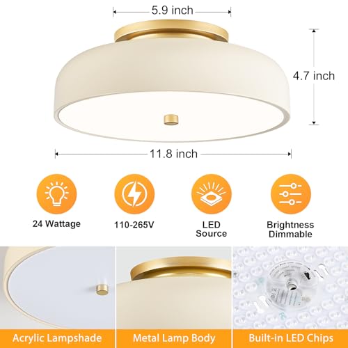 Dimmable LED Ceiling Light Fixture