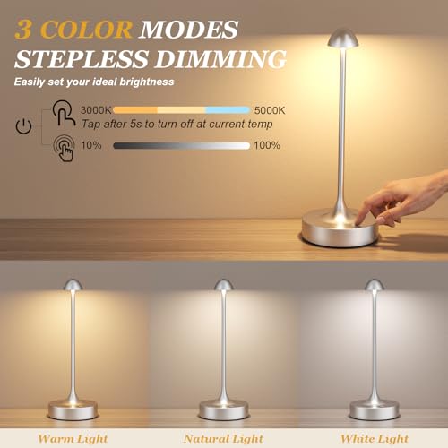 Rechargeable Cordless Table Lamp (2 Count)