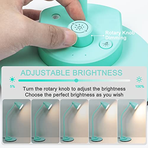 LED Desk Lamp with USB Charging Port