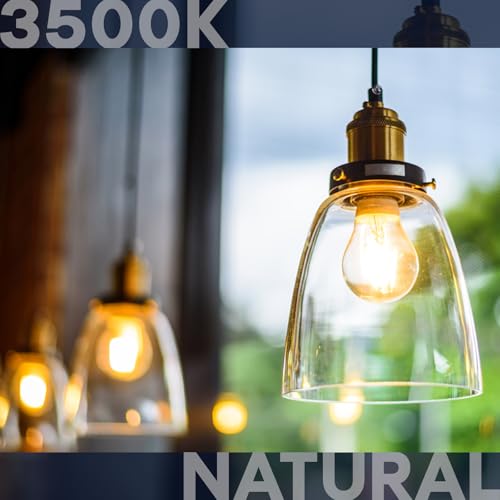 Vintage A19 LED Light Bulbs 60W Equivalent (4 Count)