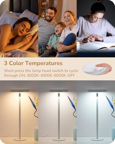 LED Desk Lamp