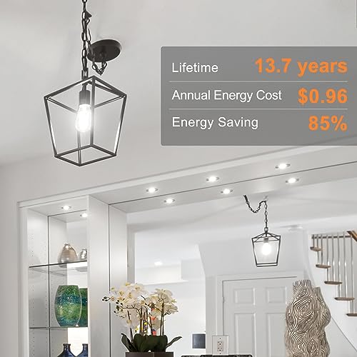 LED Edison Light Bulbs (6 Count)