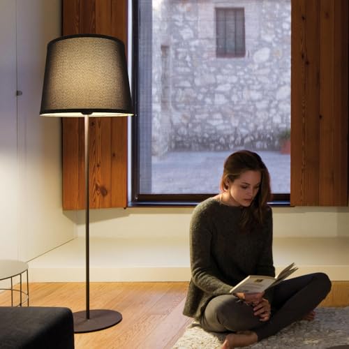 Lamp Shades Set of 2 (2 Count)