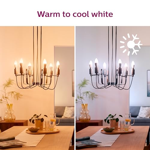 Smart 40 Watt Equivalent B12 LED Smart Wi