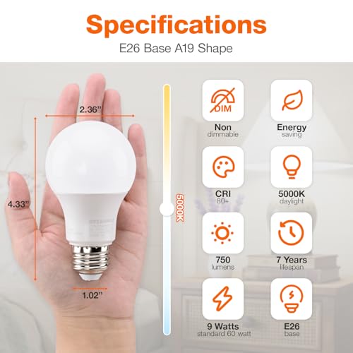 Sylvania ECO LED A19 Light Bulb (24 Count)