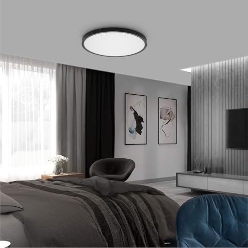 Flush Mount Ceiling Light