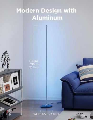 RGBIC Floor Lamp Basic