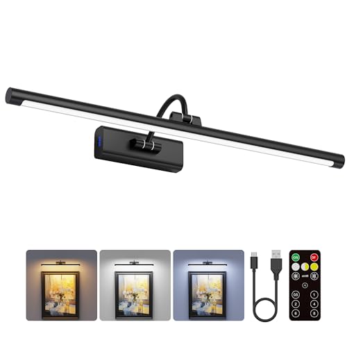 24" Picture Light with 8000mAh Battery