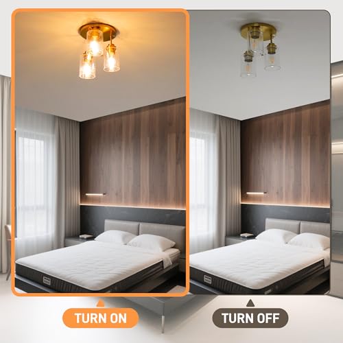 Semi Flush Mount Ceiling Light