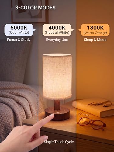 2 Pack Rechargeable Cordless Table Lamp