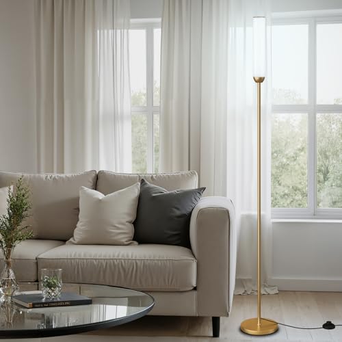 LED Floor Lamp with Remote Control