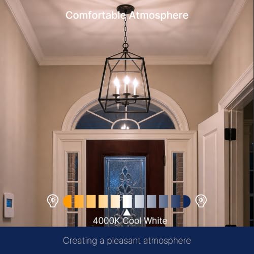 B11 LED Candelabra Bulb (12 Count)