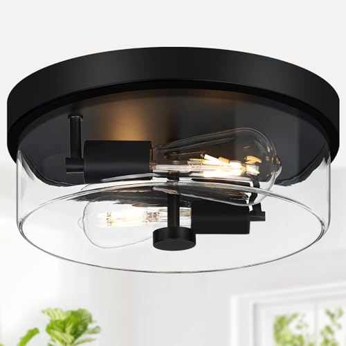 Flush Mount Ceiling Light Fixtures