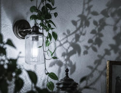 Vintage Edison LED Light Bulbs (4 Count)