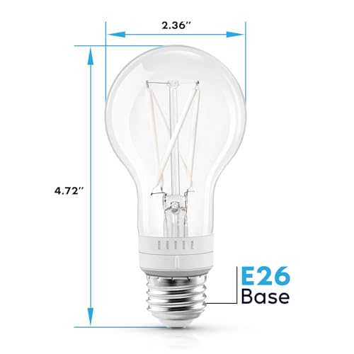 Vintage A19 LED Light Bulb 60 Watt Equivalent (12 Count)