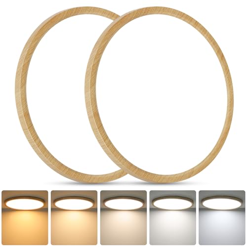 12 Inch LED Flush Mount Ceiling Light Fixture (2 Count)
