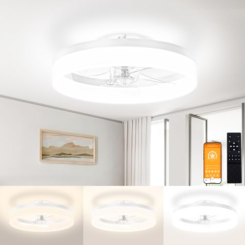Low Profile Ceiling Fans with Lights and Remote
