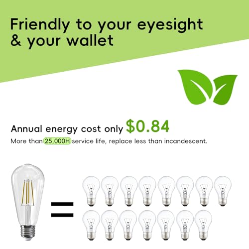 Edison Bulbs E26 LED Bulb 60 Watt Equivalent