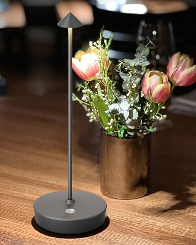 Cordless Table Lamp Rechargeable 6000mAh Battery Outdoor LED Light (2 Count)