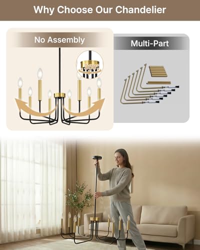 8 Light Black and Gold Chandelier