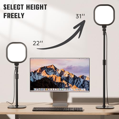 2 Packs Video Conference Lighting Kits (2 Count)