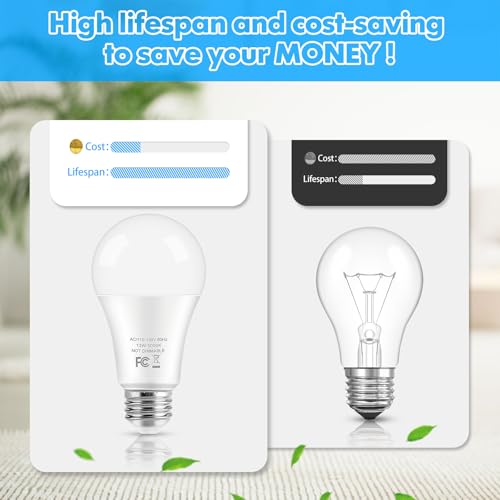 LED Light Bulbs (20 Count)