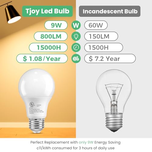 6 Pack A19 LED Light Bulbs (6 Count)