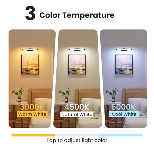 Battery Operated Picture Light