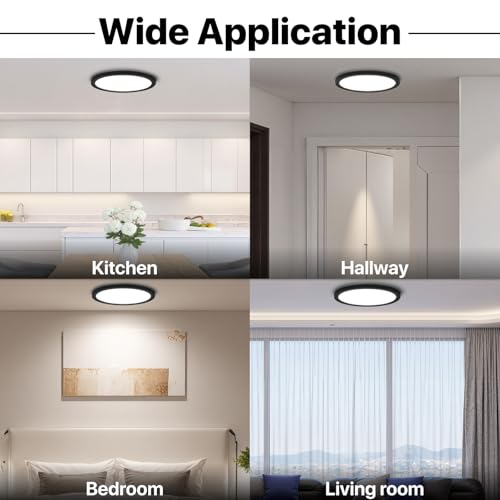 12 Inch Black LED Flush Mount Ceiling Light Fixture (2 Count)