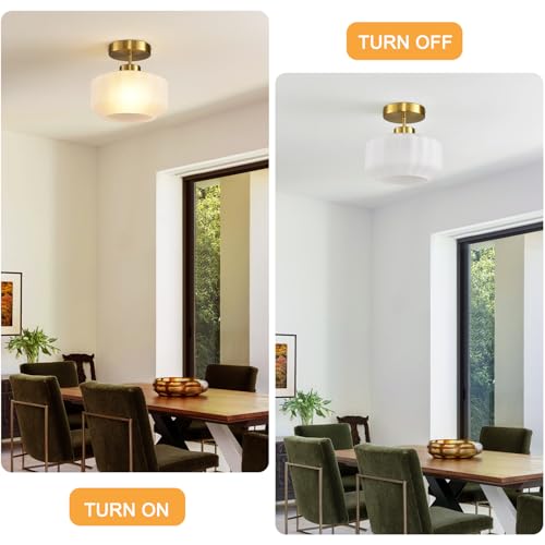 Industrial Gold Matte Light Fixtures Ceiling Mount