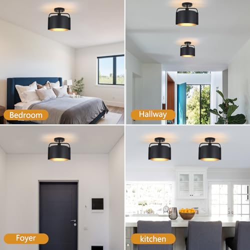 Flush Mount Ceiling Light