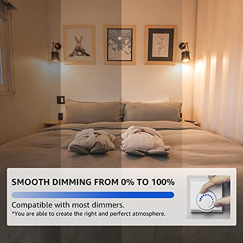 Dimmable Vintage E26 LED Light Bulb (10 Count)