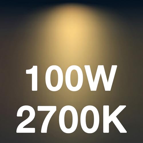 Dusk to Dawn Outdoor Sensor ST19 LED Light Bulbs