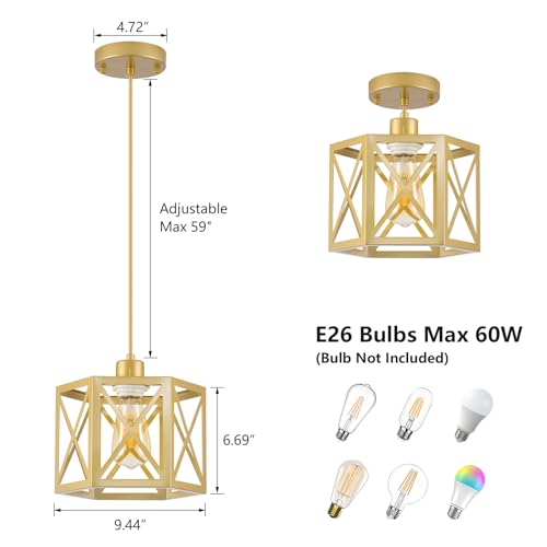 2 Pack Gold Pendant Lights (2 Count)