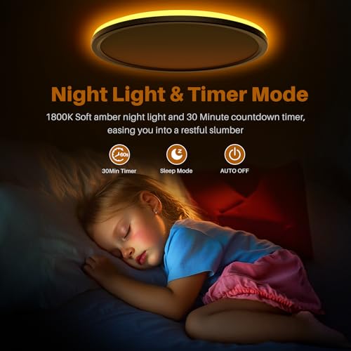 15 Inch LED Flush Mount Ceiling Light with Remote