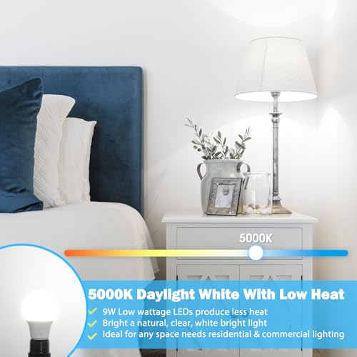 A19 LED Light Bulb 60W Equivalent (4 Count)