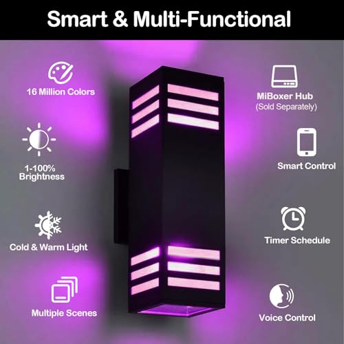 Smart Outdoor Wall Sconce