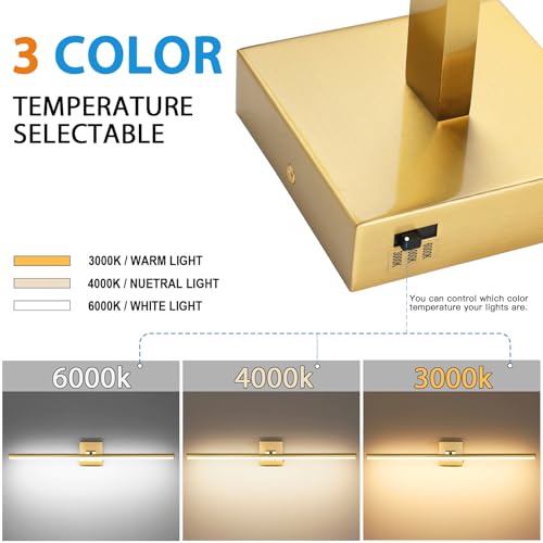 LED Bathroom Vanity Light