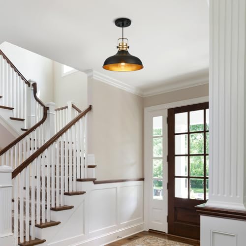 Black and Gold Pendant Lights Kitchen Island Fixtures