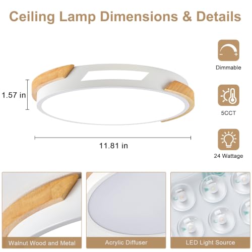 Modern LED Ceiling Light