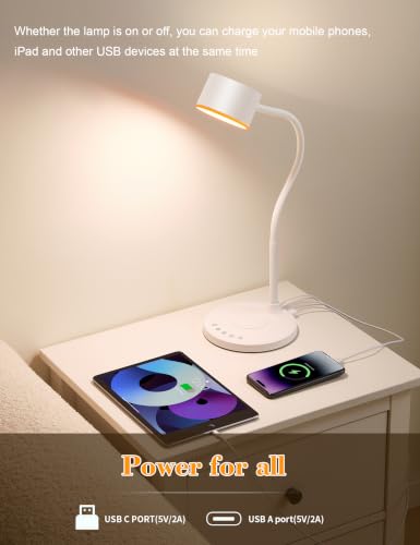 Desk lamp with 2 USB Charging Ports