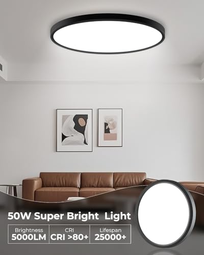 23INCH Big Dimmable Flush Mount Ceiling Light Fixture Black