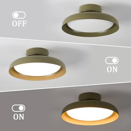 Modern LED Ceiling Light