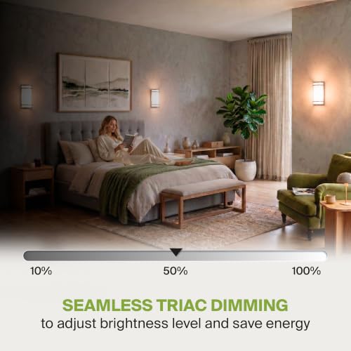 Indoor LED Wall Sconce Lights